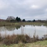 Photo of a large pond surrounded by a grassy area. In winter conditions